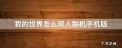 我的世界怎么双人联机手机版2020 我的世界怎么双人联机手机版