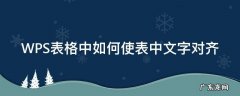 wps表格里的文字怎么对齐 WPS表格中如何使表中文字对齐