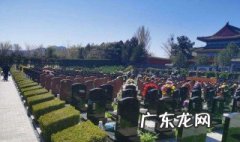 云端祭扫是什么意思 云端祭扫是什么意思啊