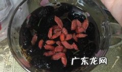 桑葚枸杞人参泡酒的功效与作用 桑葚枸杞人参泡酒的功效与作用及禁忌