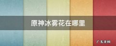 原神冰雾花在哪里有 原神冰雾花在哪里