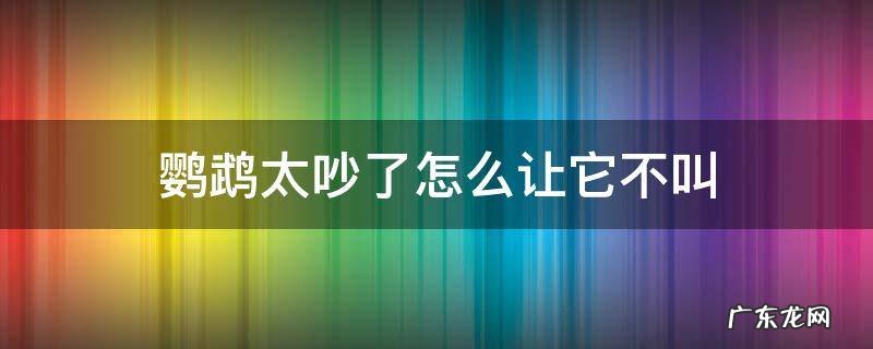 鹦鹉太吵了怎么让它不叫 有什么办法让鹦鹉不吵