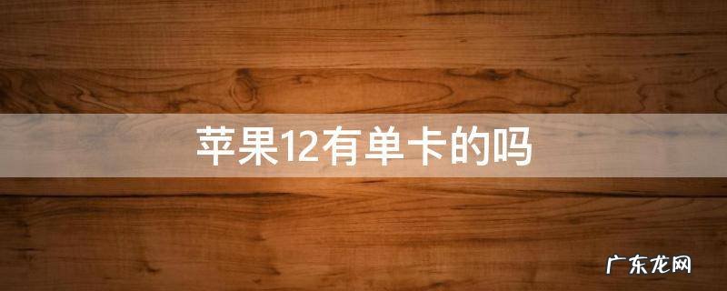 苹果12有单卡的吗美版 苹果12有单卡的吗
