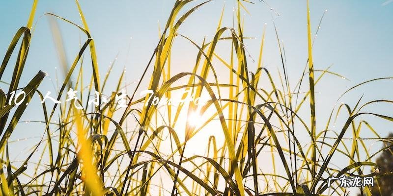 揭晓!这十位明星人气爆棚,你猜猜谁登顶?