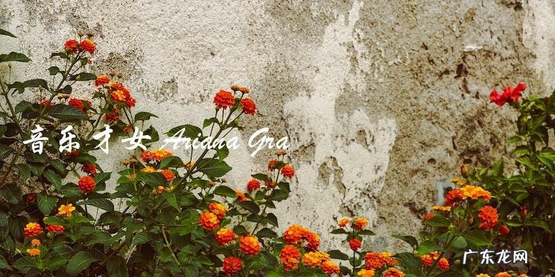 揭晓!这十位明星人气爆棚,你猜猜谁登顶?