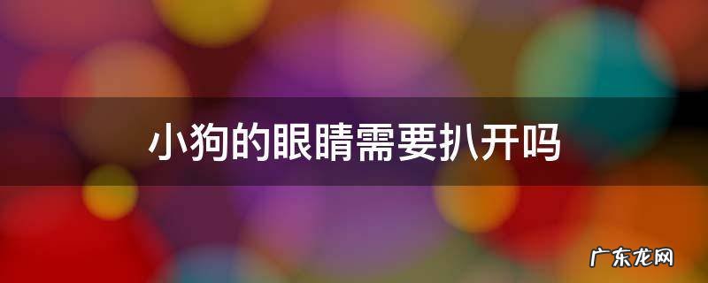 小狗还要扒眼睛吗 小狗的眼睛需要扒开吗