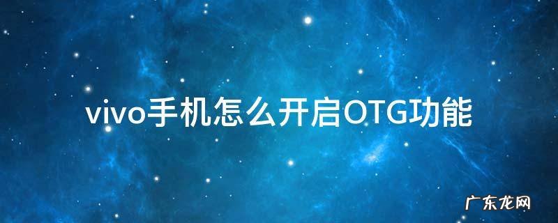 vivo手机怎么开启OTG功能 vivo手机OTG怎么开启
