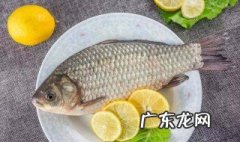 做梦梦到钓了很多鲫鱼是什么意思呀 做梦梦到钓了很多鲫鱼是什么意思
