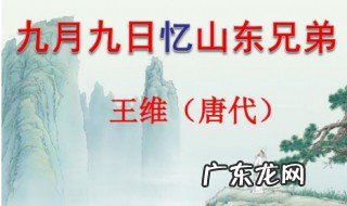 9月9日忆山东兄弟这首古诗是什么意思 9月9日忆山东兄弟的意思古诗意思是什么