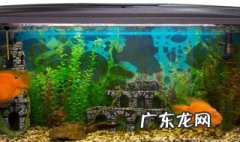鱼缸摆放位置 鱼缸摆放位置正对门好