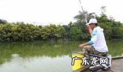 鲫鱼哪个月好钓 鲫鱼几月份钓