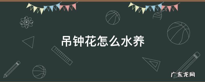吊钟花可以用水养吗 吊钟花怎么水养