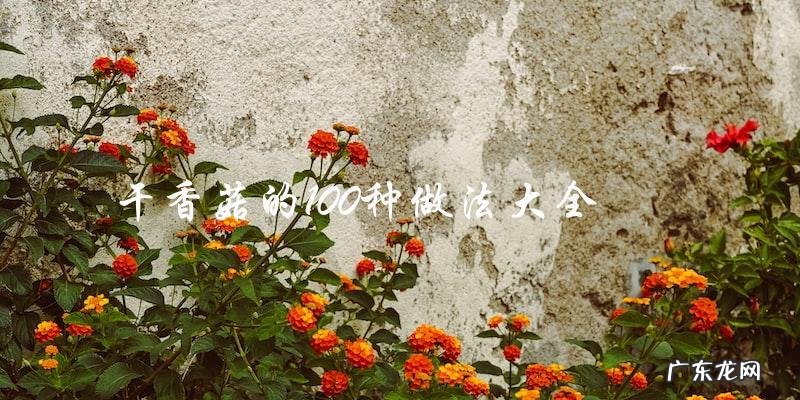 干香菇的100种做法大全