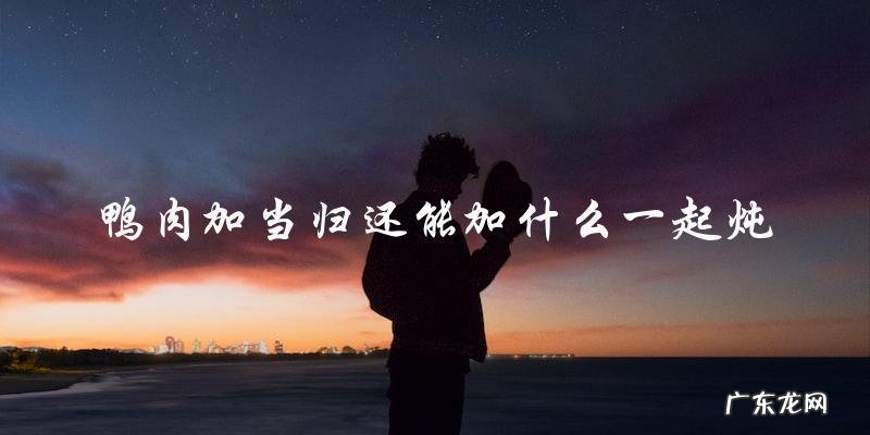 鸭肉加当归,再加什么一起炖最好?