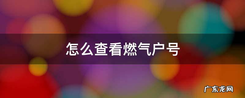 怎么查看燃气户号 怎样查看自己燃气户号