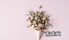 广东适合种什么花 广东适合种什么花?