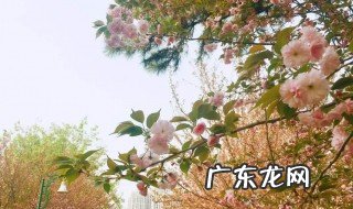 诗人告诉我们什么是一年中最美好的季节 诗人认为一年之中最好的季节是什么