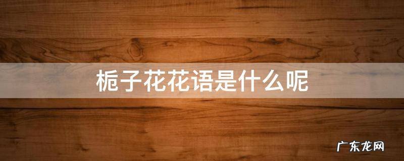 栀子花花语是什么呢 栀子花花的花语是什么
