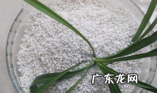珍珠岩栽花起什么作用 珍珠岩种花什么作用