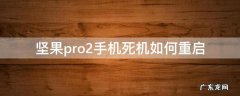 坚果pro2手机死机如何重启 坚果pro2s死机重启的两种方法介绍