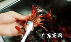 如何清洗龙虾又快又干净