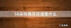 58朵玫瑰花花语是什么 58朵玫瑰花语是什么意思