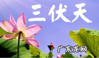 2020年三伏天从什么时候开始至结束三伏 2020年三伏天从什么时候开始