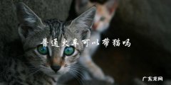 普通火车上可以带宠物猫吗？