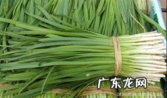 下韭菜苗什么季节可以种植 下韭菜苗什么季节可以种