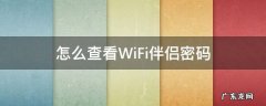 怎么查看WiFi伴侣密码 wifi伴侣怎样查看密码