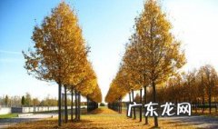 西方是什么季节 西方国家的季节划分