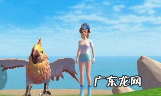 创造与魔法元素精华怎么做 创造与魔法元素精华怎么使用