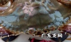 24小时之内死了的螃蟹能吃吗 螃蟹离开水能活多久