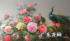 油画牡丹的养护 油画牡丹的养护与管理