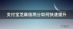 支付宝芝麻信用怎么快速提升 支付宝芝麻信用分如何快速提升