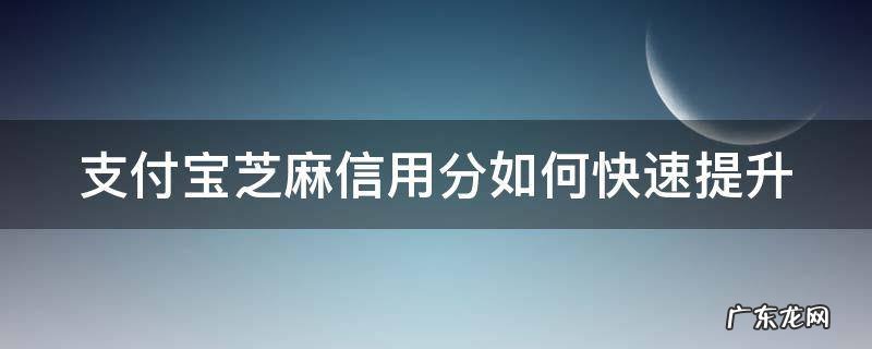 支付宝芝麻信用怎么快速提升 支付宝芝麻信用分如何快速提升