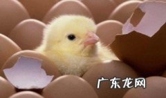 人工光源的基本作用是什么 人工光源的三种形式