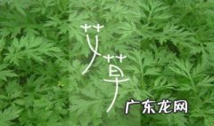 檀香沉香艾草香的作用与用途 檀香沉香艾草香的作用