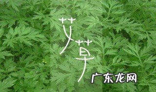 檀香沉香艾草香的作用与用途 檀香沉香艾草香的作用
