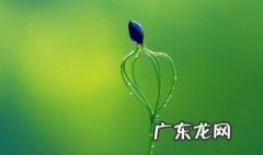 生物酶的作用特点简述 生物酶的作用特点