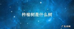 杵榆树是什么树? 杵榆树是什么树