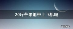 20斤芒果能带上飞机吗 飞机上芒果可以带多少斤