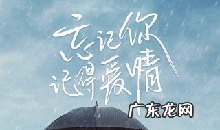 忘记你记得爱情都是什么时候更新 忘记你记得爱情上映时间