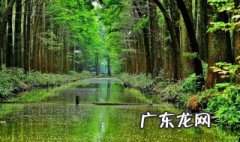 中国森林覆盖率世界排名 中国森林覆盖率