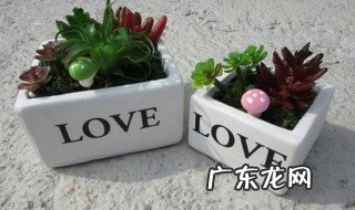 花盆底部的小孔有什么用 花盆底下的孔是什么作用