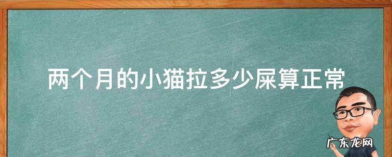 两个月的小猫拉多少屎算正常 两个月小猫拉屎次数