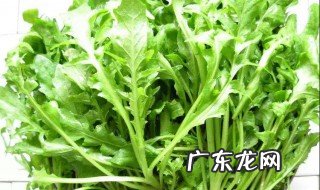 春天都适合种什么菜 春天适合种什么菜