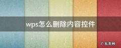 wps怎么删除内容控件 wps模块怎么删除