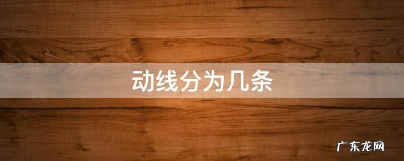 动线的分类 动线分为几条