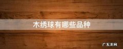 木绣球有哪些品种 乔木绣球有哪些品种